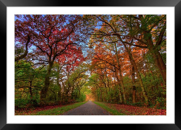 Autumn Colours Framed Mounted Print by Chris Owen