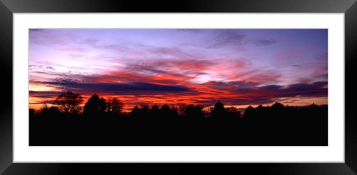 Sunset Thought the Trees Framed Mounted Print by John Boekee