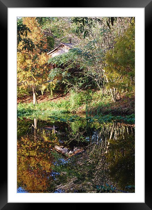 Reflections of a Florida Morn Framed Mounted Print by Judy Hall-Folde