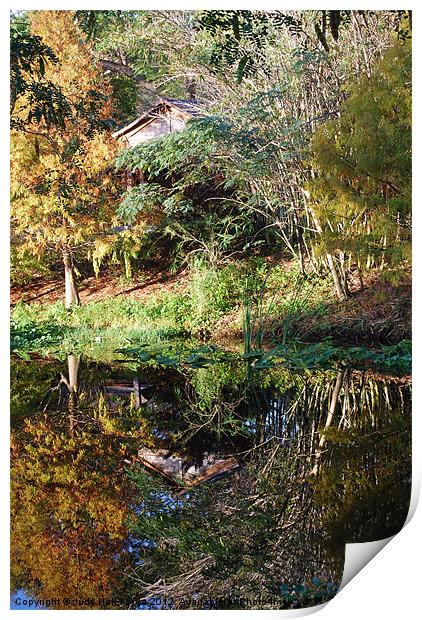 Reflections of a Florida Morn Print by Judy Hall-Folde
