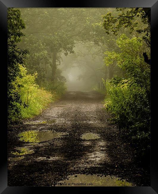 Misty Woodland Lane II Framed Print by John Dunbar