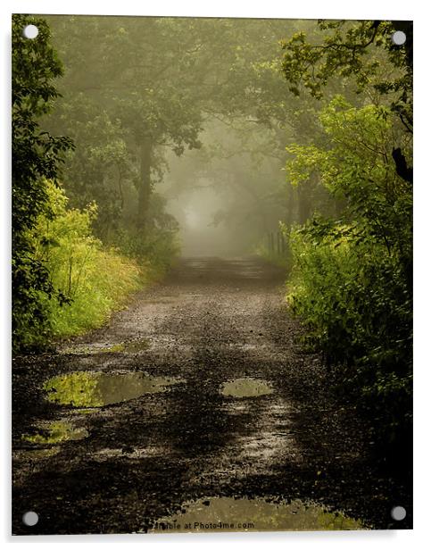 Misty Woodland Lane II Acrylic by John Dunbar