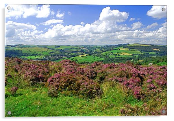 View from Curbar Edge, Peak District Acrylic by Scott  Paul