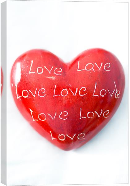 Love Heart Canvas Print by Digitalshot Photography