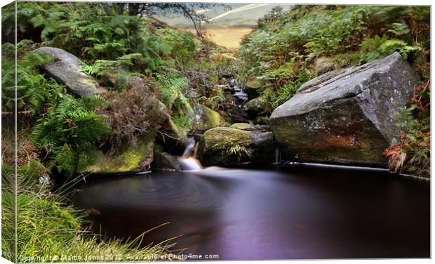 The Fairy Glen Canvas Print by K7 Photography