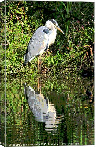 The Herons reflection Canvas Print by Debbie Metcalfe
