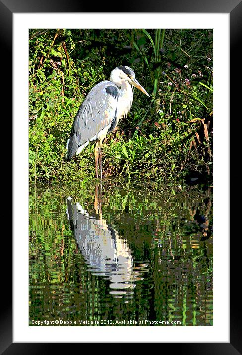 The Herons reflection Framed Mounted Print by Debbie Metcalfe