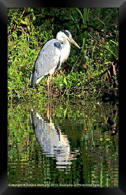 The Herons reflection Framed Print by Debbie Metcalfe