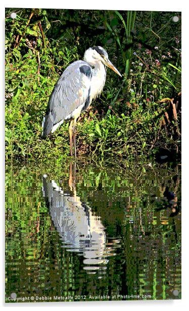 The Herons reflection Acrylic by Debbie Metcalfe
