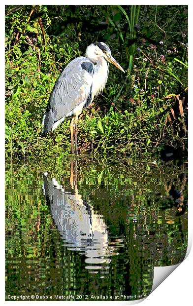 The Herons reflection Print by Debbie Metcalfe