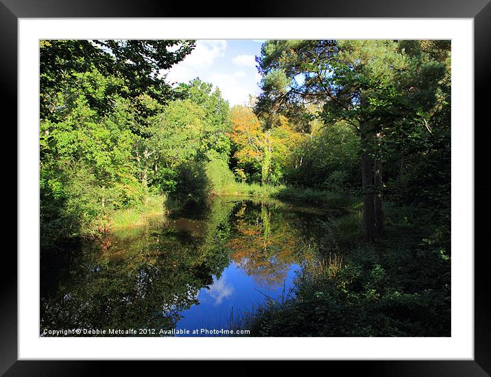 Signs of Autumn Framed Mounted Print by Debbie Metcalfe