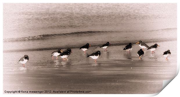 Morning Paddle Print by Fiona Messenger