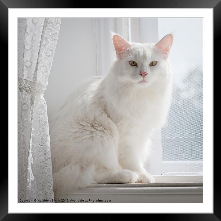 White cat on windowsill Framed Mounted Print by Kathleen Smith (kbhsphoto)