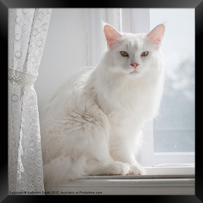 White cat on windowsill Framed Print by Kathleen Smith (kbhsphoto)