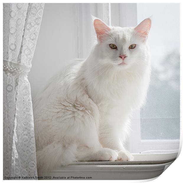 White cat on windowsill Print by Kathleen Smith (kbhsphoto)