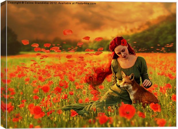 Red Dream Canvas Print by Celine B.