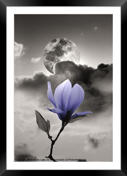 Midnight Glow Framed Mounted Print by Christine Lake