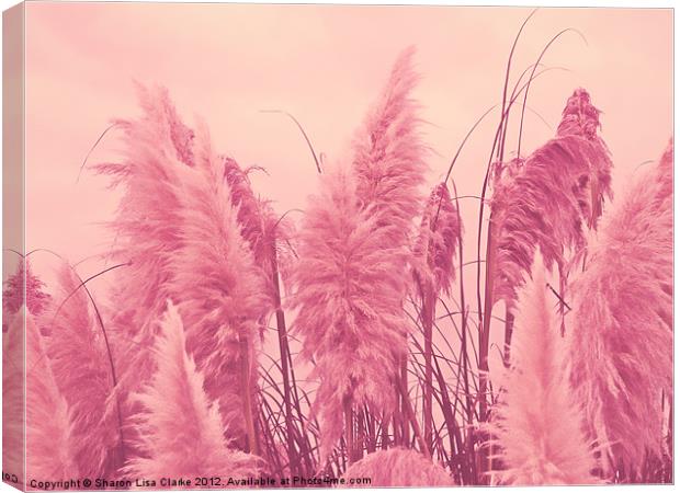 Pampas pink Canvas Print by Sharon Lisa Clarke