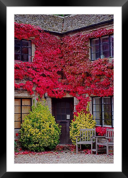 Ivy Cottage Framed Mounted Print by Scott  Paul