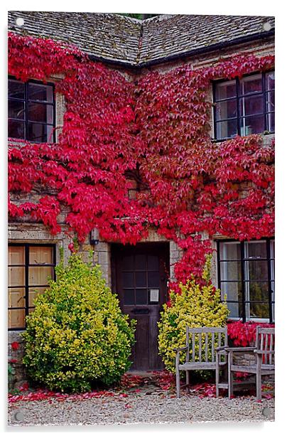 Ivy Cottage Acrylic by Scott  Paul