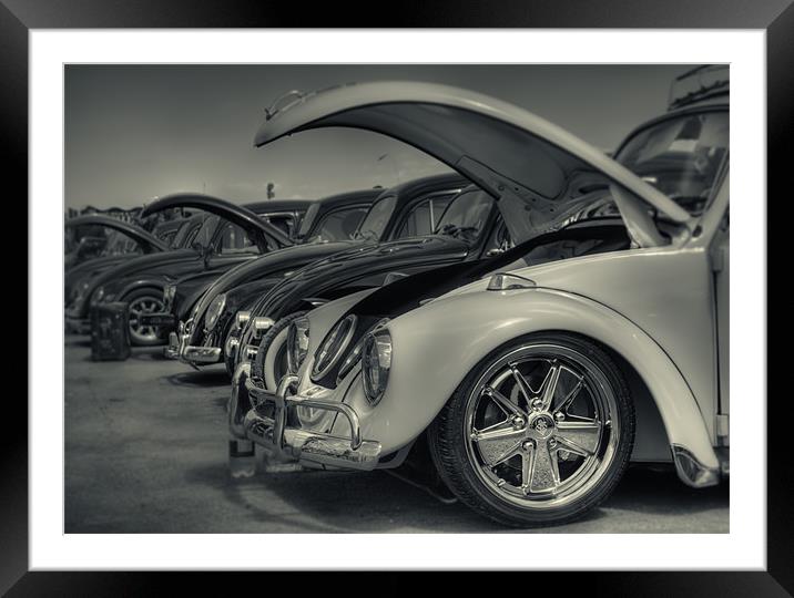 Beetles Framed Mounted Print by andrew bagley