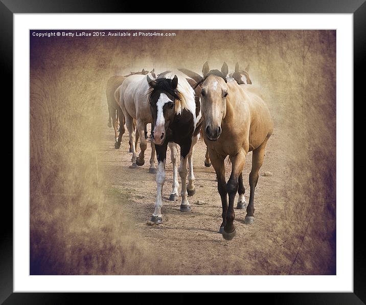 American Quarter Horse Herd Framed Mounted Print by Betty LaRue