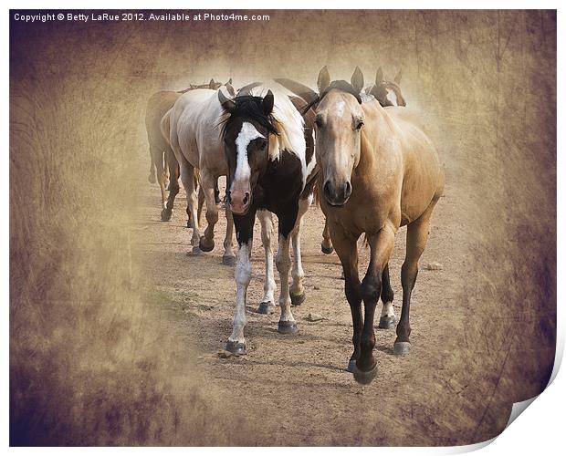 American Quarter Horse Herd Print by Betty LaRue