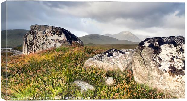 Loch Na Boulders Canvas Print by Chris Frost