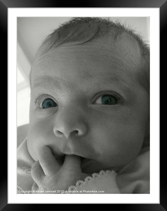 baby blue eyes Framed Mounted Print by steven bennett