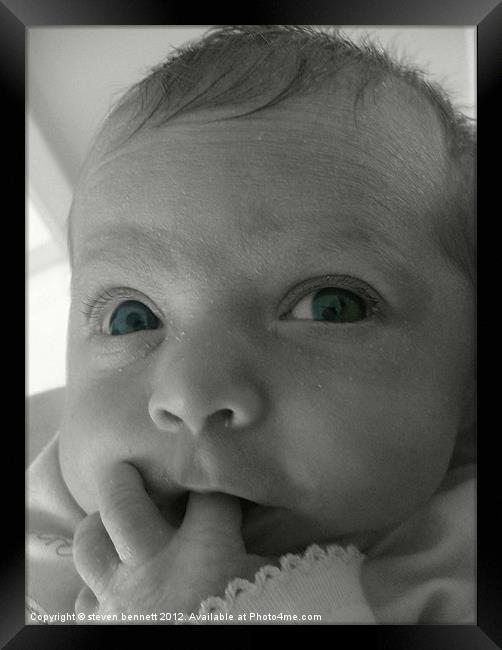 baby blue eyes Framed Print by steven bennett