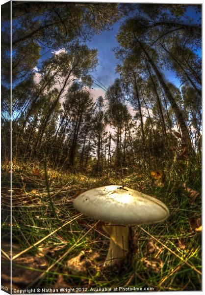 Death cap Canvas Print by Nathan Wright
