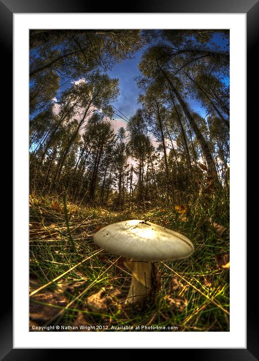 Death cap Framed Mounted Print by Nathan Wright