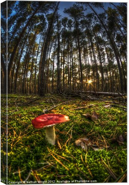 Red shroom sunset Canvas Print by Nathan Wright