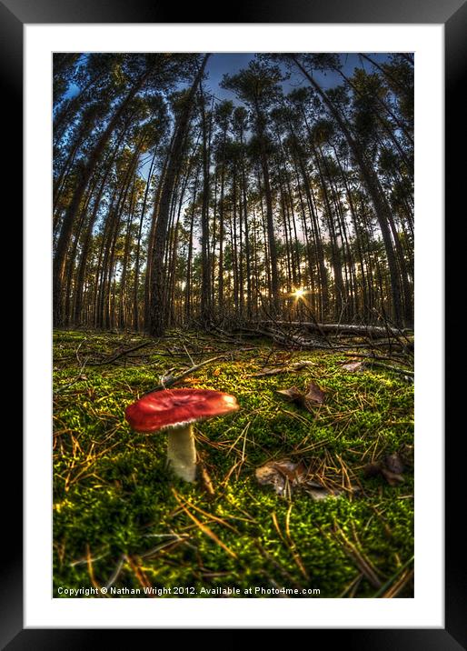 Red shroom sunset Framed Mounted Print by Nathan Wright
