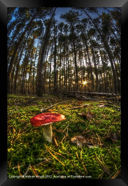 Red shroom sunset Framed Print by Nathan Wright