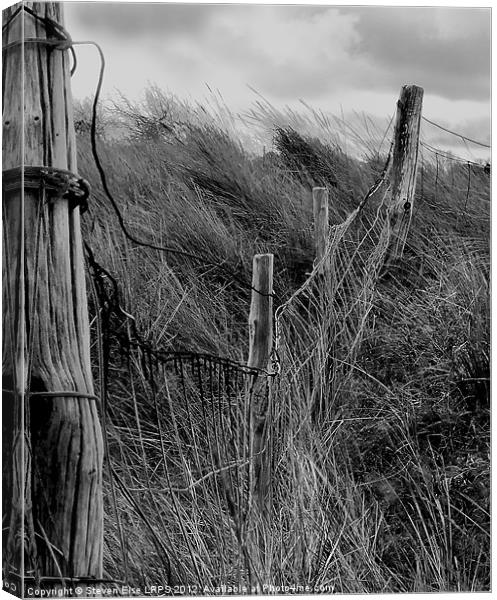 barbed wire fence and grass Canvas Print by Steven Else ARPS