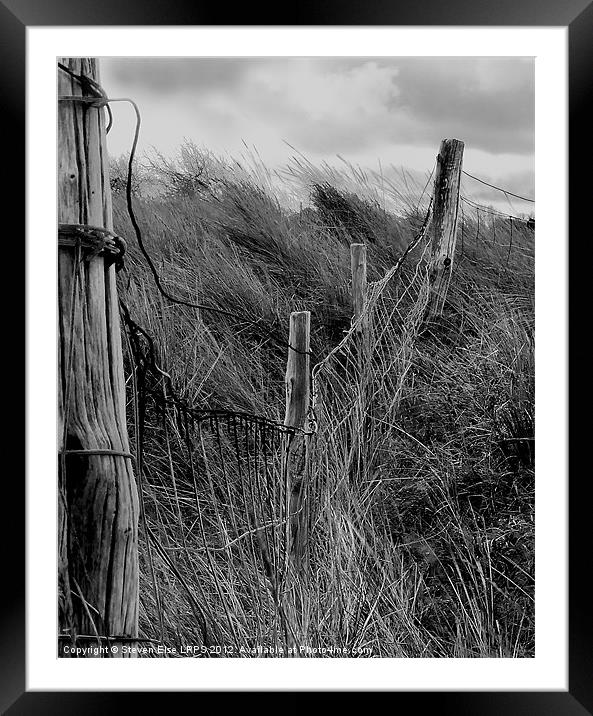 barbed wire fence and grass Framed Mounted Print by Steven Else ARPS