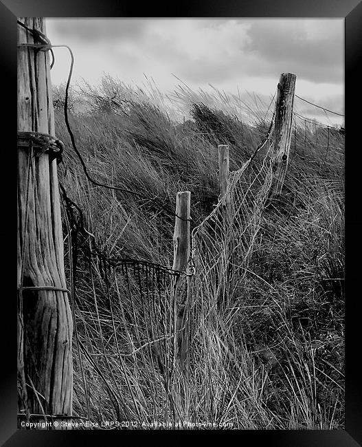 barbed wire fence and grass Framed Print by Steven Else ARPS