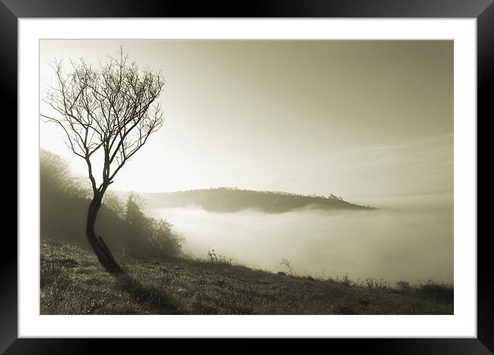Solitairy Tree Framed Mounted Print by Dawn Cox