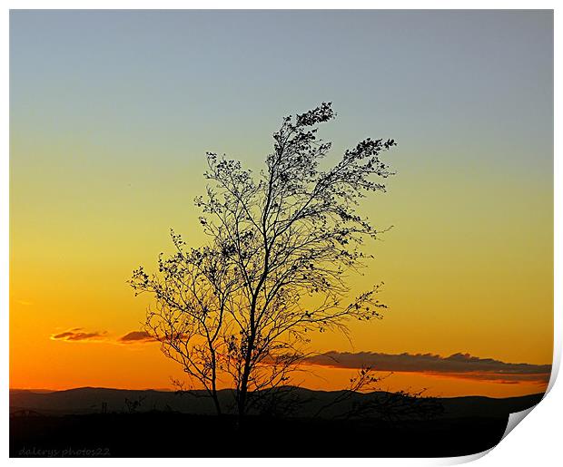 SUNSET ON THE HILL Print by dale rys (LP)
