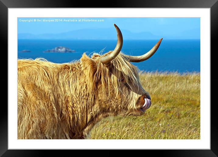 Highland Beauty Highland Cow Framed Mounted Print by Bel Menpes