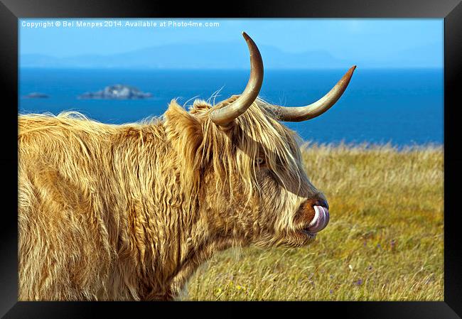 Highland Beauty Highland Cow Framed Print by Bel Menpes