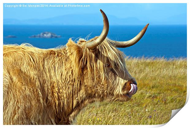 Highland Beauty Highland Cow Print by Bel Menpes