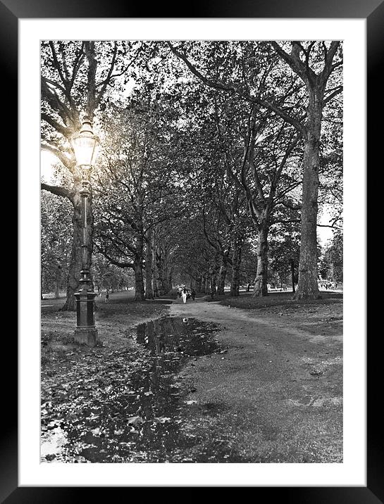green park gardens London Framed Mounted Print by michael perry