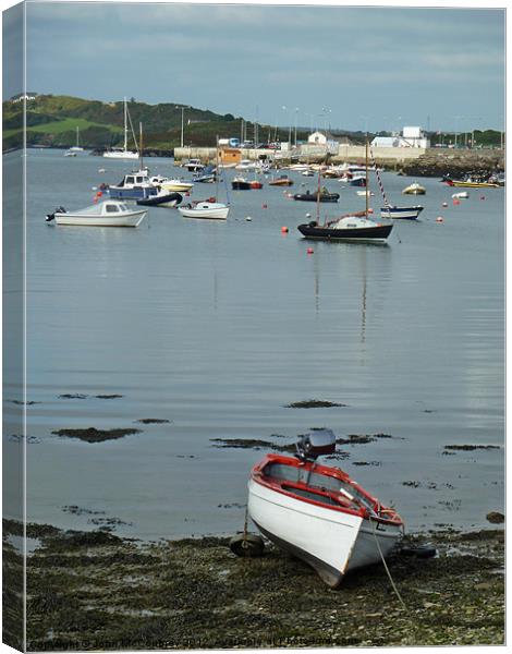 Baltimore Harbour in West Cork Canvas Print by John McCoubrey