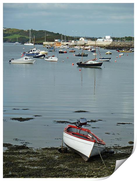 Baltimore Harbour in West Cork Print by John McCoubrey