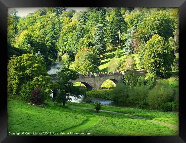 Bridge over the River Aln Framed Print by Colin Metcalf