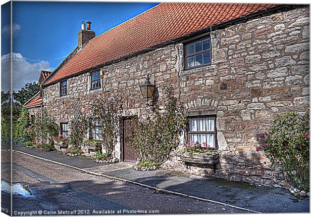 Lindisfarne Cottages Canvas Print by Colin Metcalf