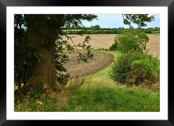 The Fields Edge Framed Mounted Print by graham young
