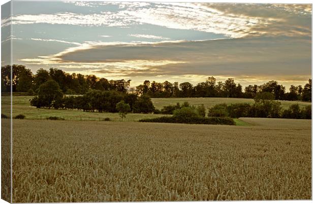 The Evening Before the Harvest Canvas Print by graham young